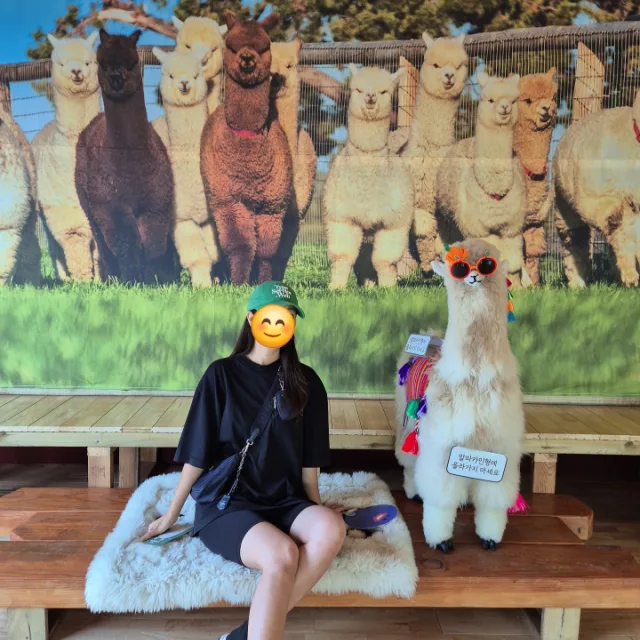 뿌뿌어어