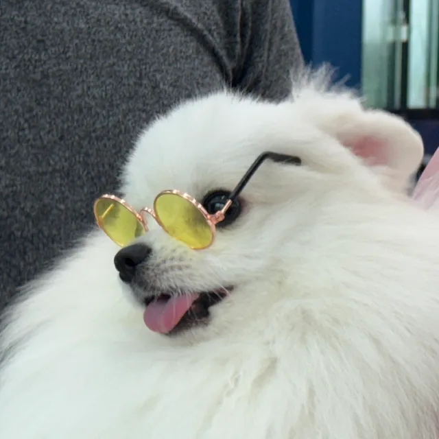 몽댕이