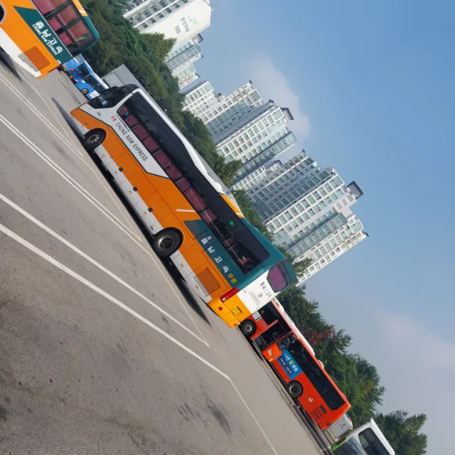 브라운
