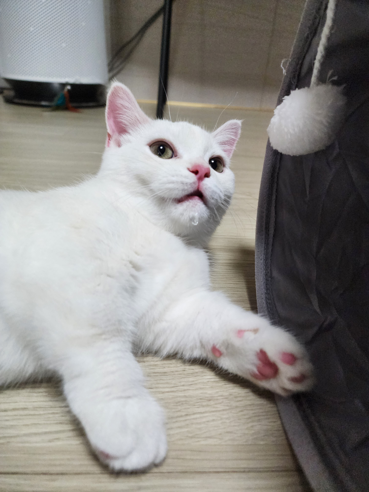 소주