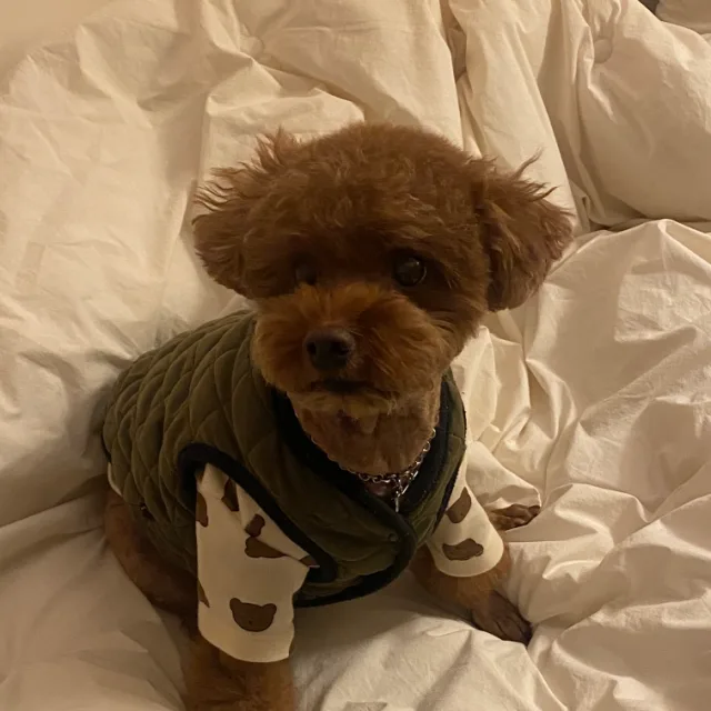 달민이