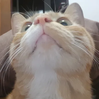 후추박사