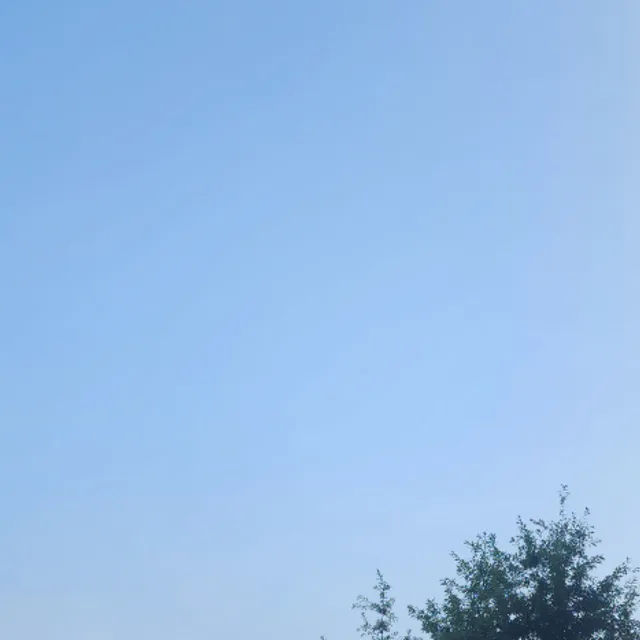 스카이스
