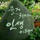 사막비