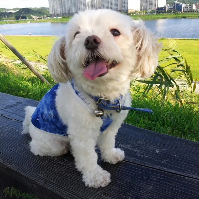 헬펭