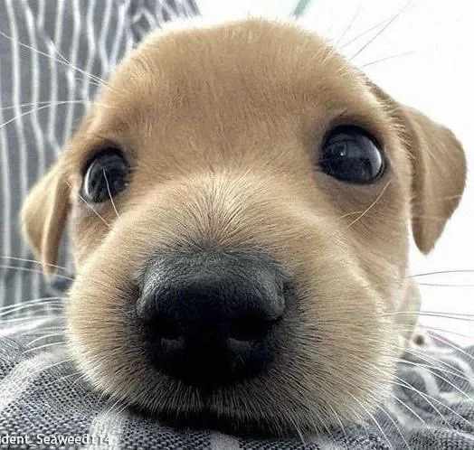 흠흠
