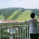 올빼미