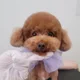 모이네