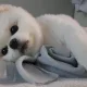 반곡동동