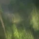 ndy