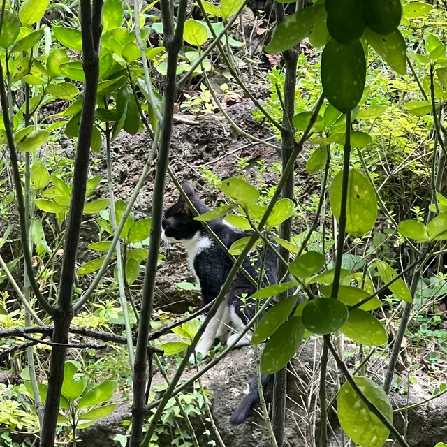 라라라