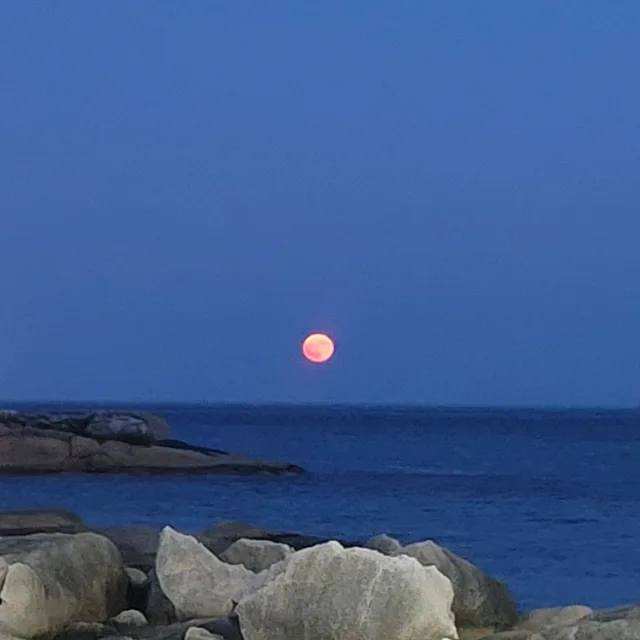 메리