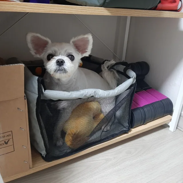 에쿵
