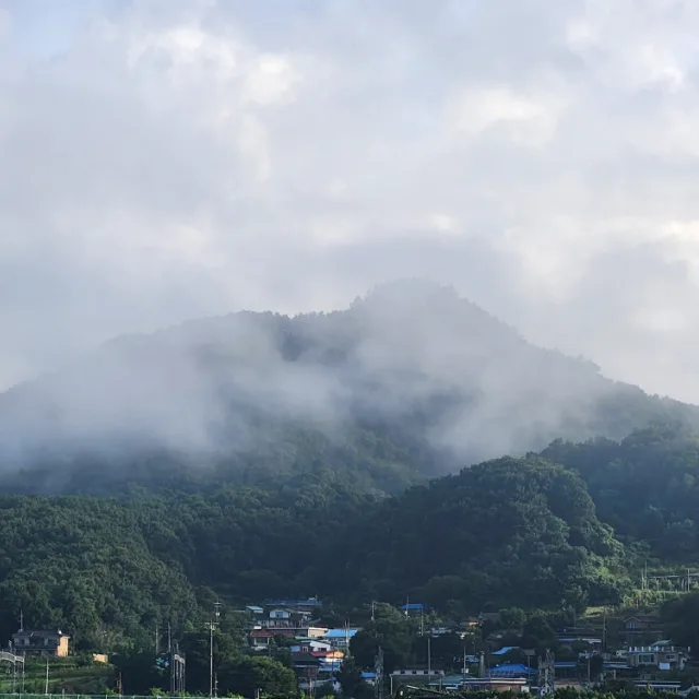 정직