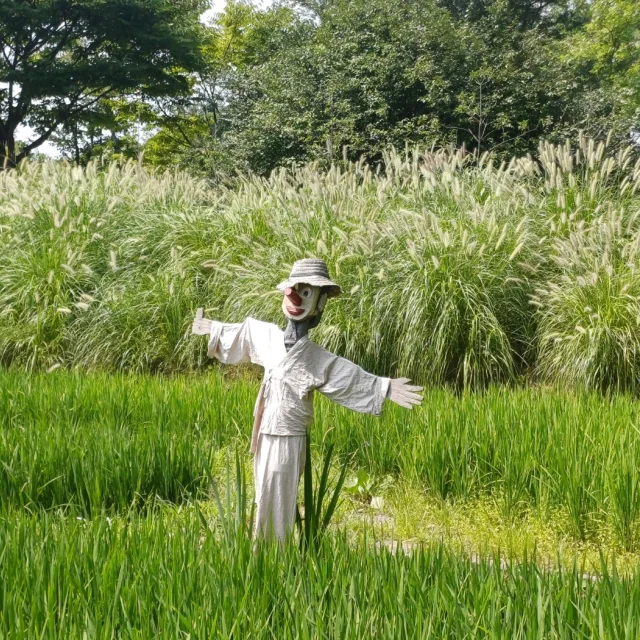 반짝반짝