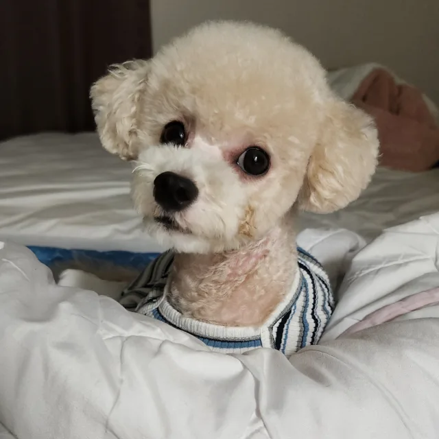 박선생수학