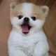 바람이아빠