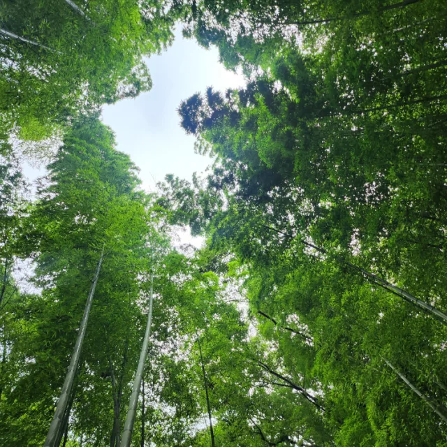 산이다
