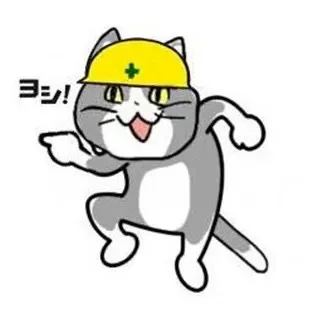 돈돈