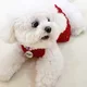 하늘이