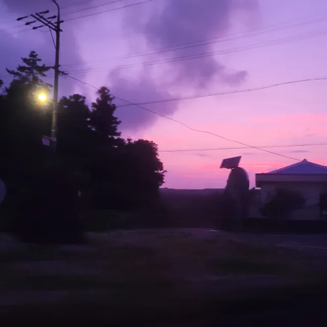 궁금