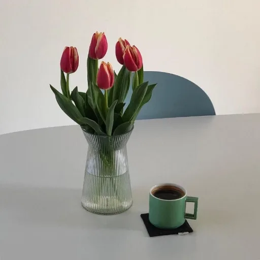 고디바