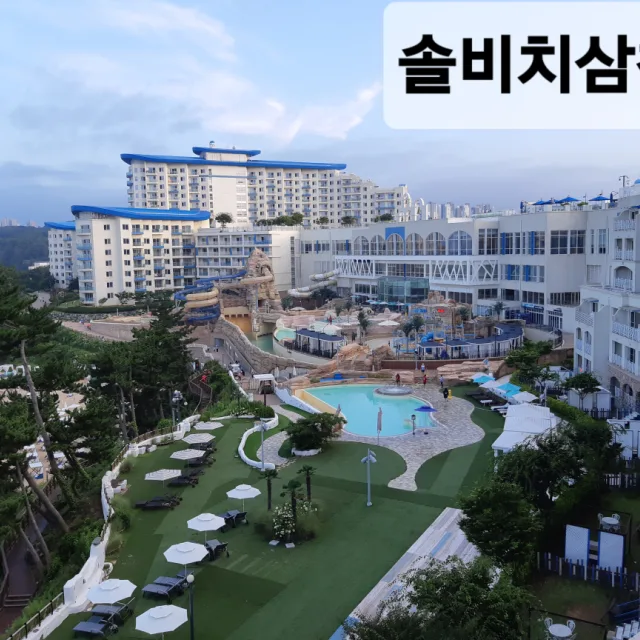 맨드라미