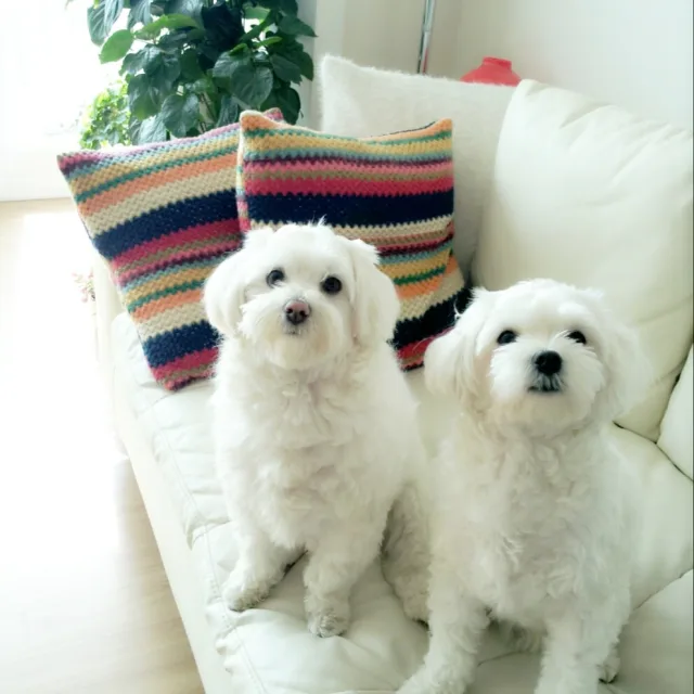 비누서누맘