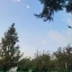 낙타
