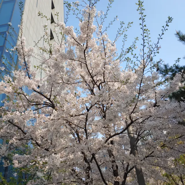리드나우