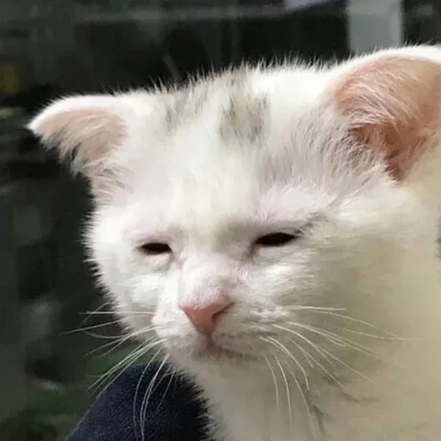 썸바디뚜잇
