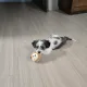 아리맘
