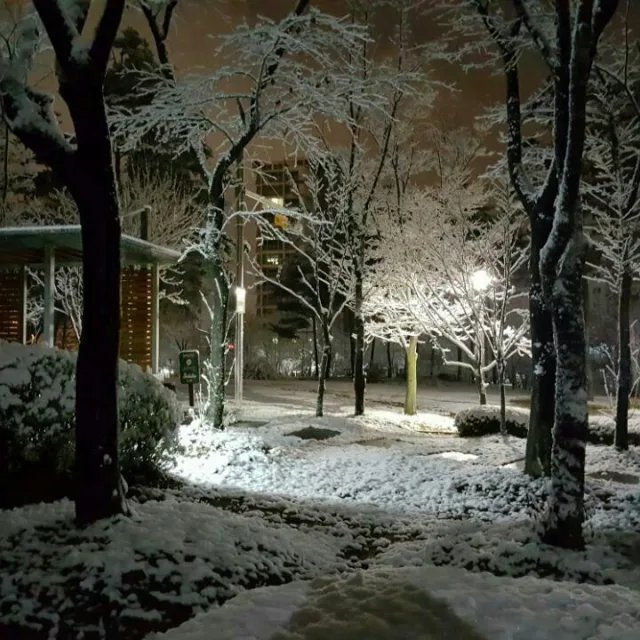 서기