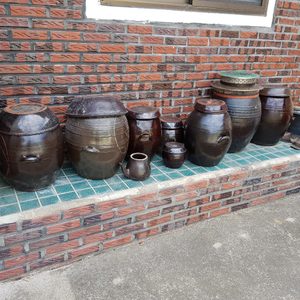 구미홈수거개미클린