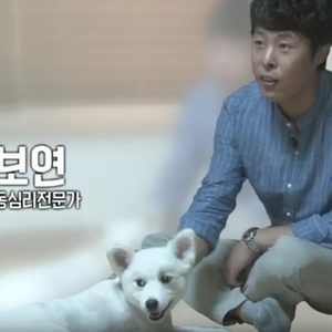 반려견동물교육기관 위드