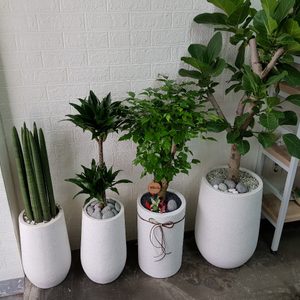 꽃이야기