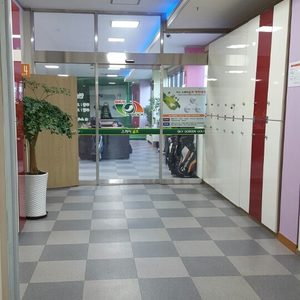 스카이골프