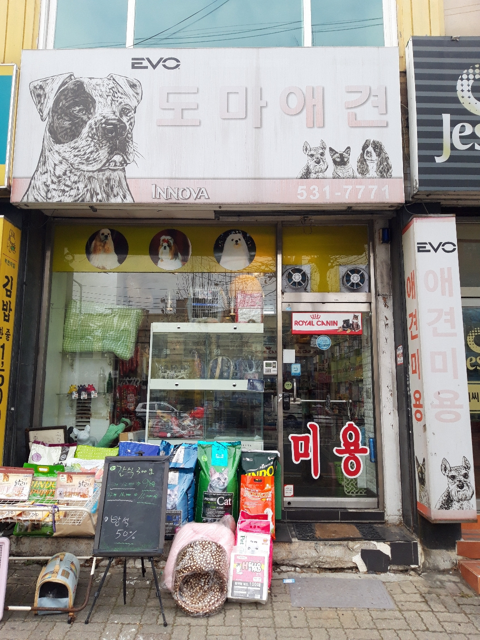 도마애견