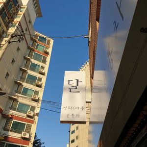 달 전통차