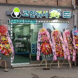 크린토피아 코인워시365 고불로점