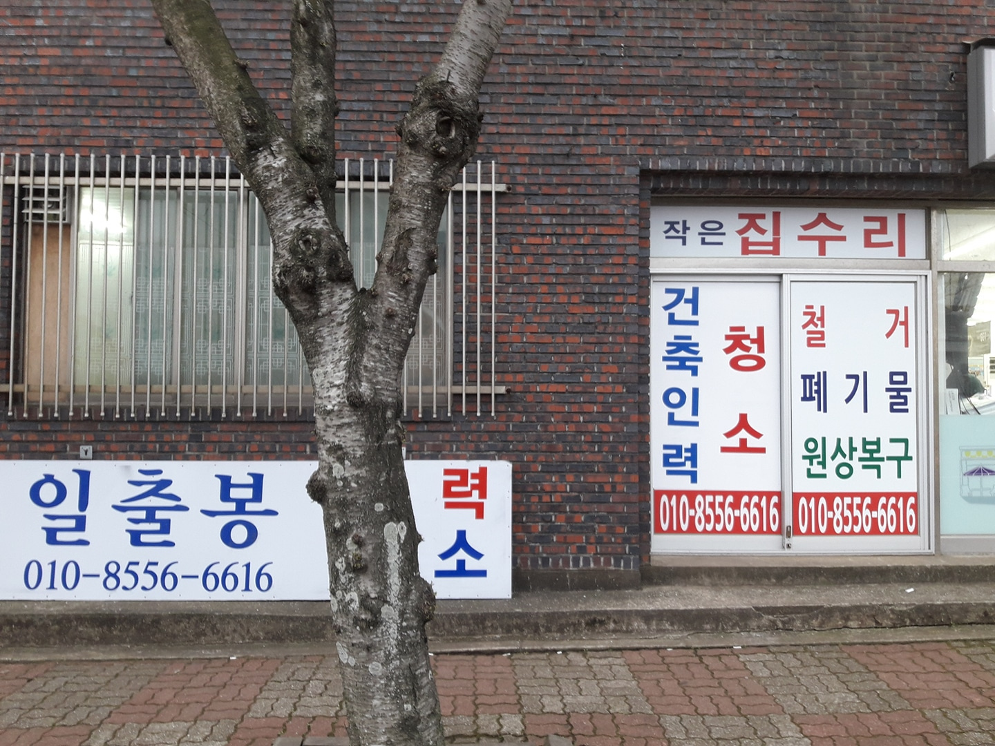 일출봉 철거 폐기물