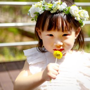 스튜디오아노히