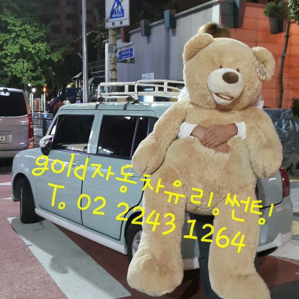 골드자동차유리