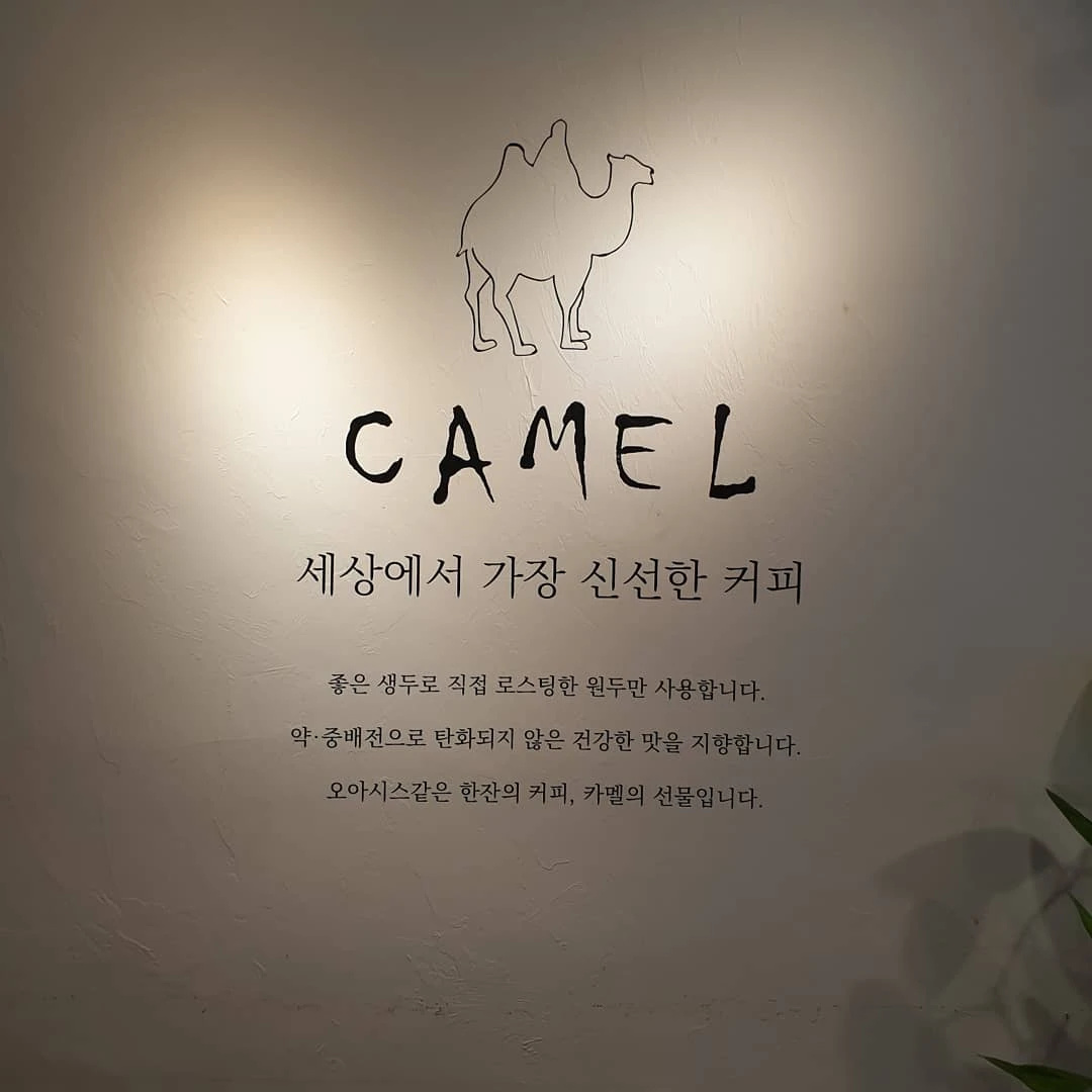 카페 카멜