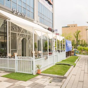 별빛개냥