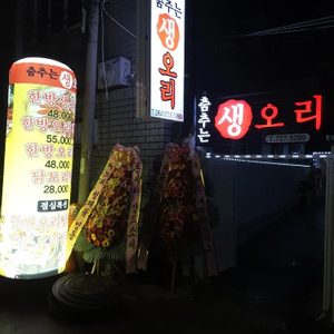 춤추는생오리