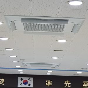 선진
