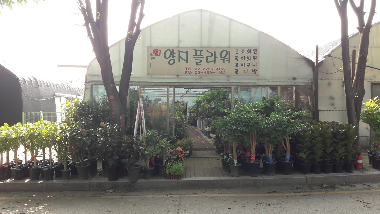 양지플라워