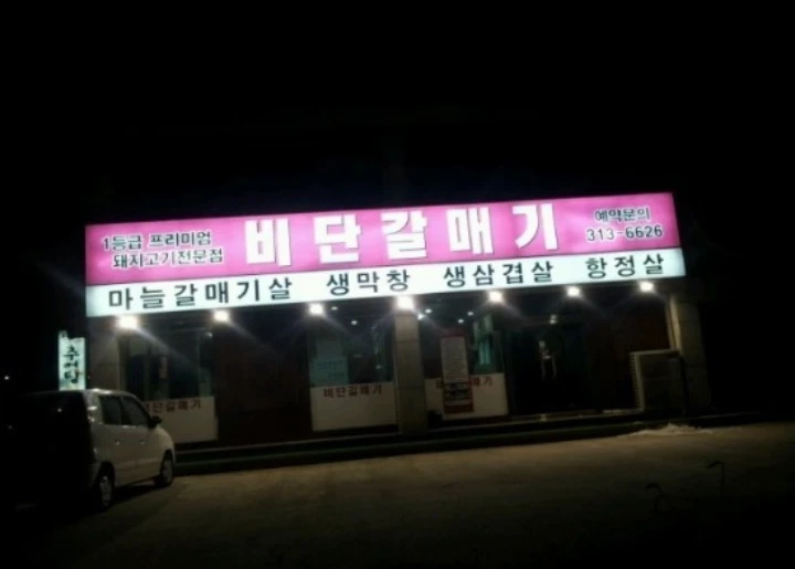 비단갈매기