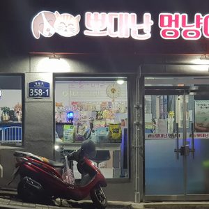 뽀대난멍냥이